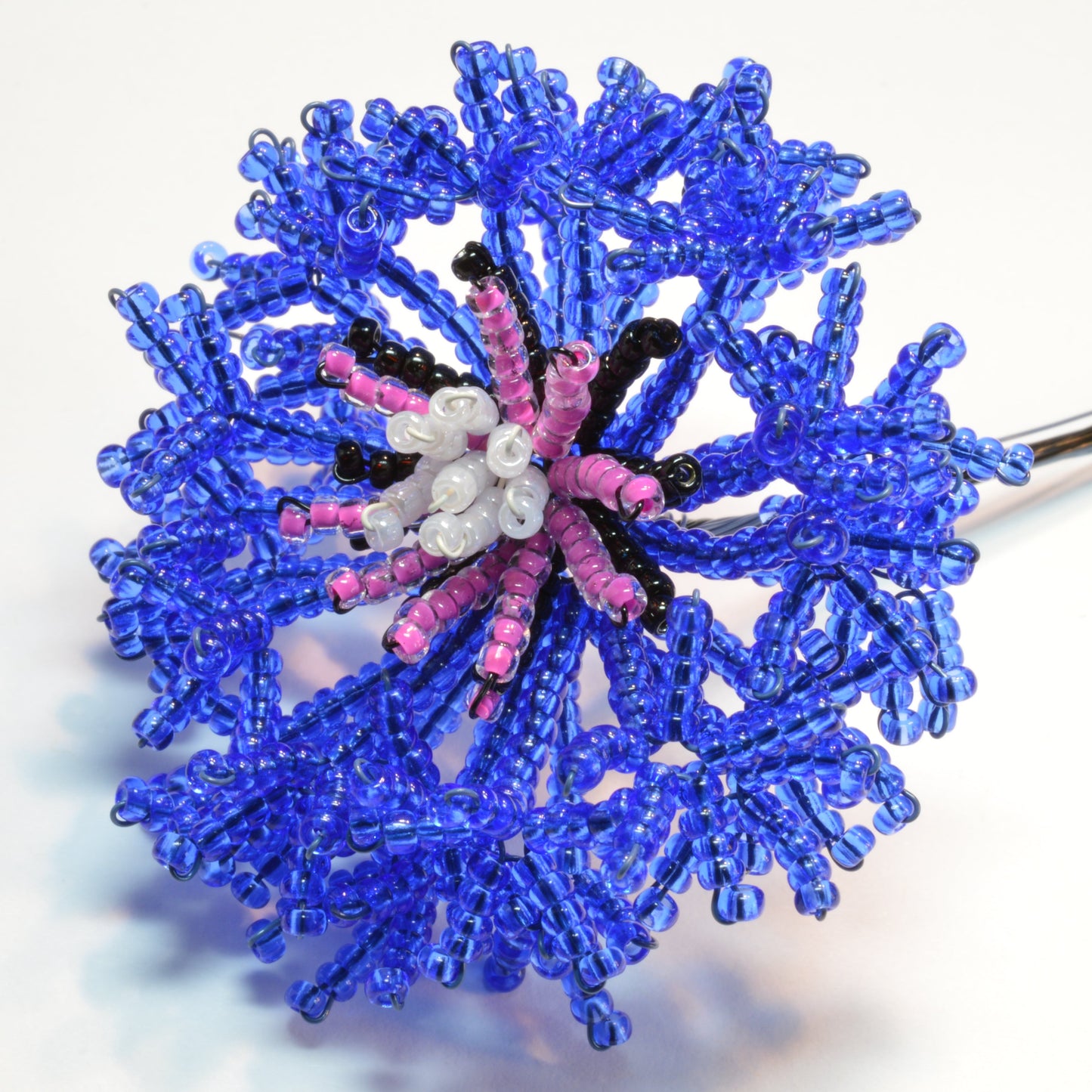 Bead cornflower