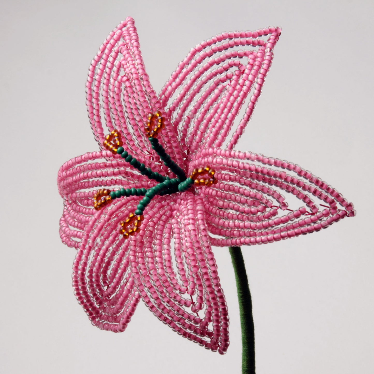 Bead lily